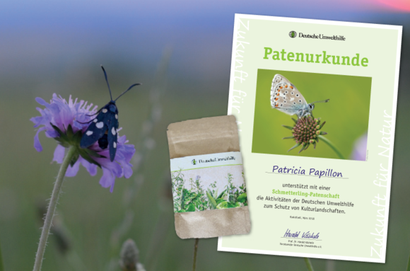 Urkunde und Samentütchen für Schmetterlingspaten