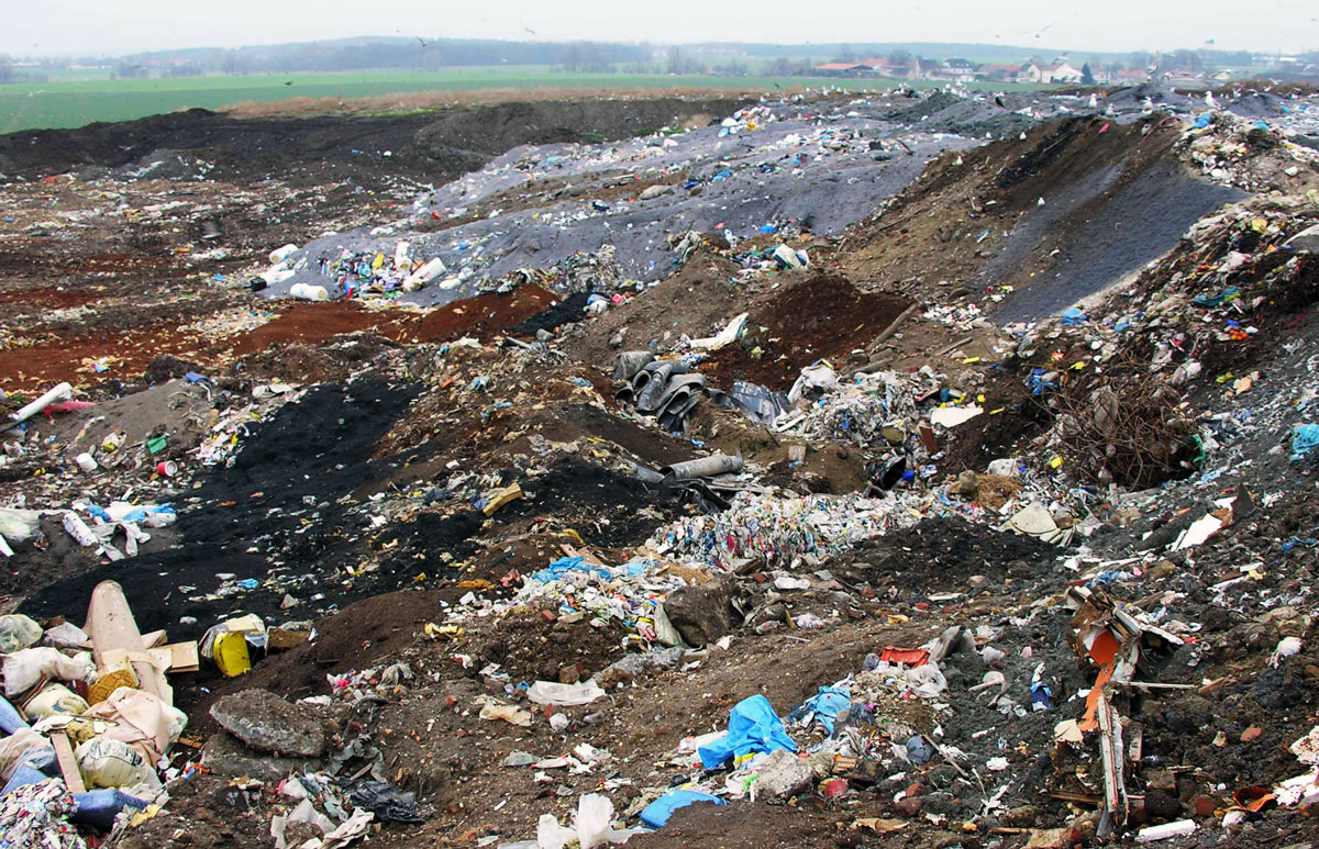 Destroy the picture above you - Forum Games - PixelTail Games