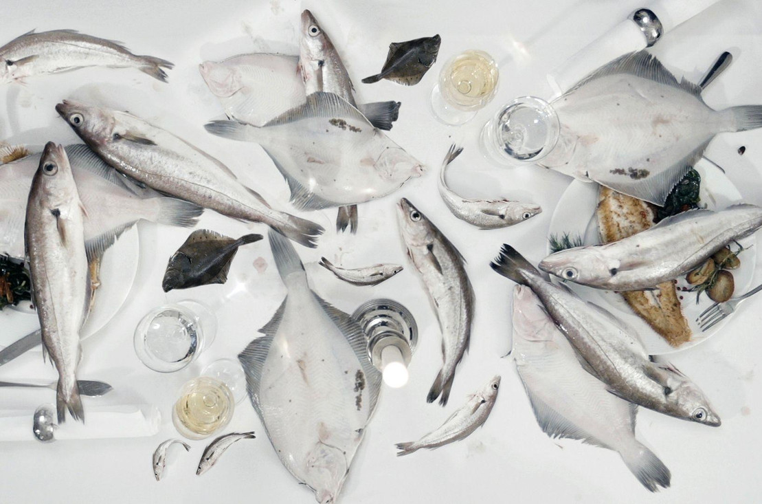 Fische auf Tisch