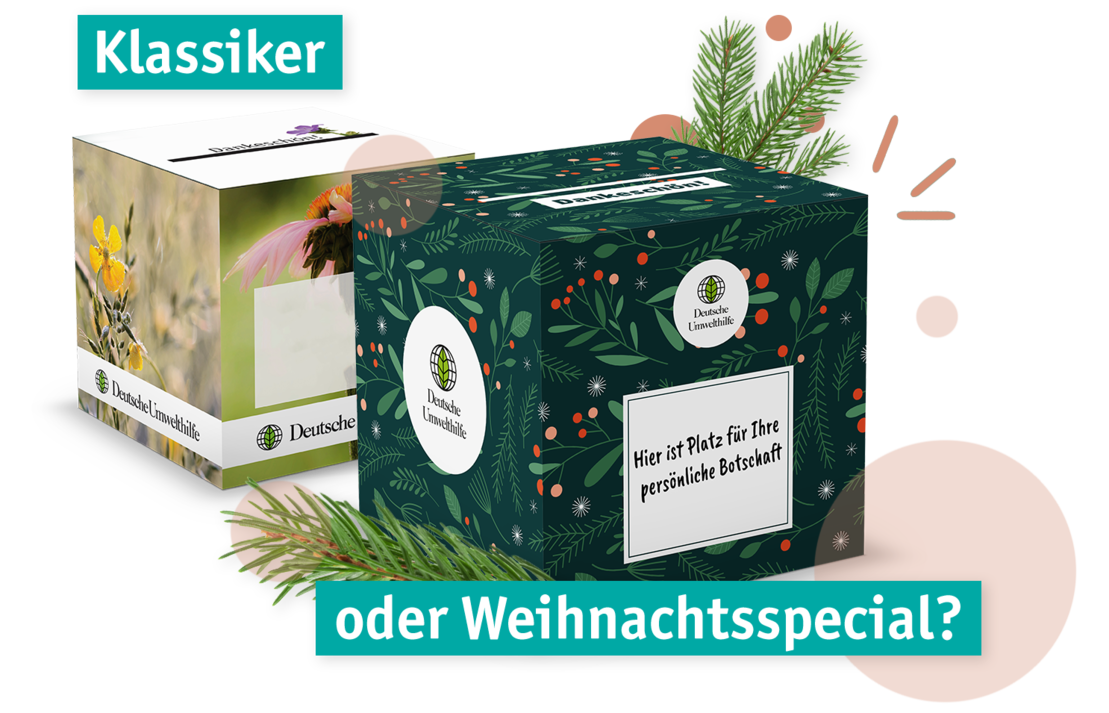 Die Spendenbox - der Klassiker und die Weihnachtsedition.