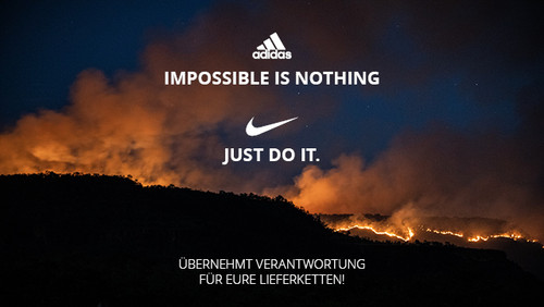 Letzter Anpfiff fur Adidas und Nike Abfrage der Deutschen Umwelthilfe zeigt mangelnde Bemuhungen fur entwaldungsfreie Leder Lieferketten Deutsche Umwelthilfe e.V