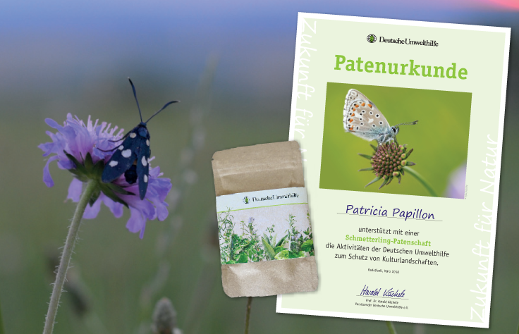Urkunde und Samentütchen für Schmetterlingspaten
