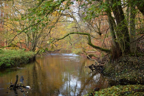 Gowienica_Nov2016_Stettiner_Haff
