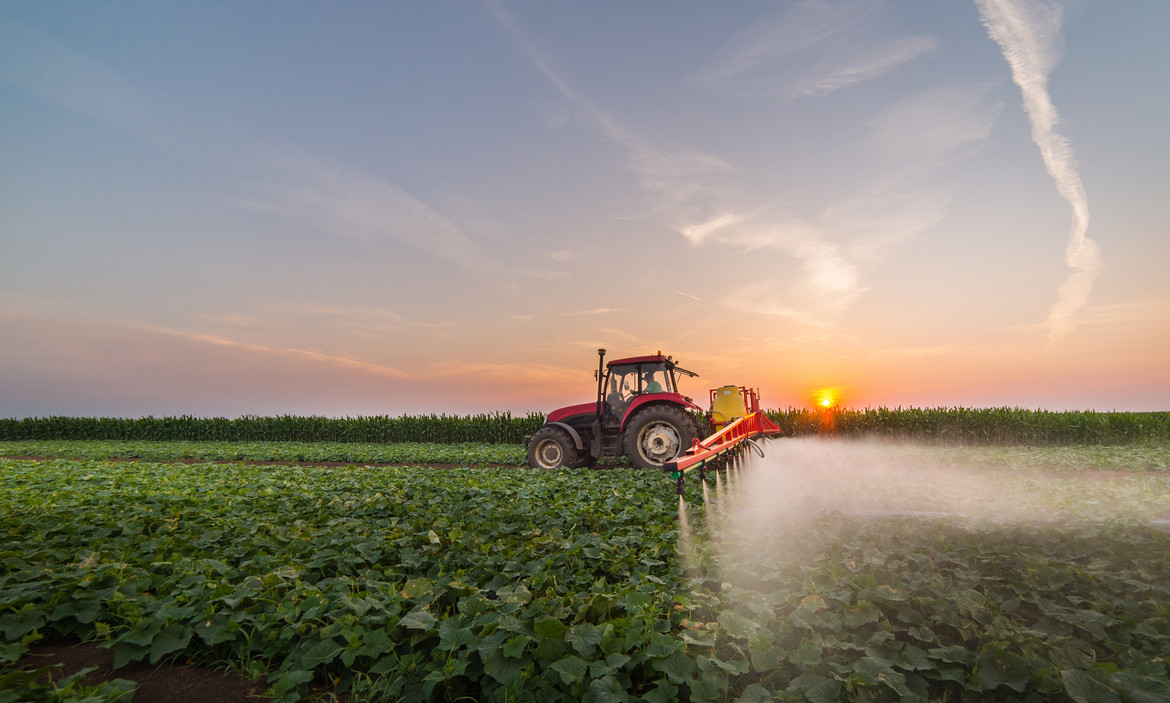 Ein Traktor sprüht Pestizide auf einem Gemüsefeld. 