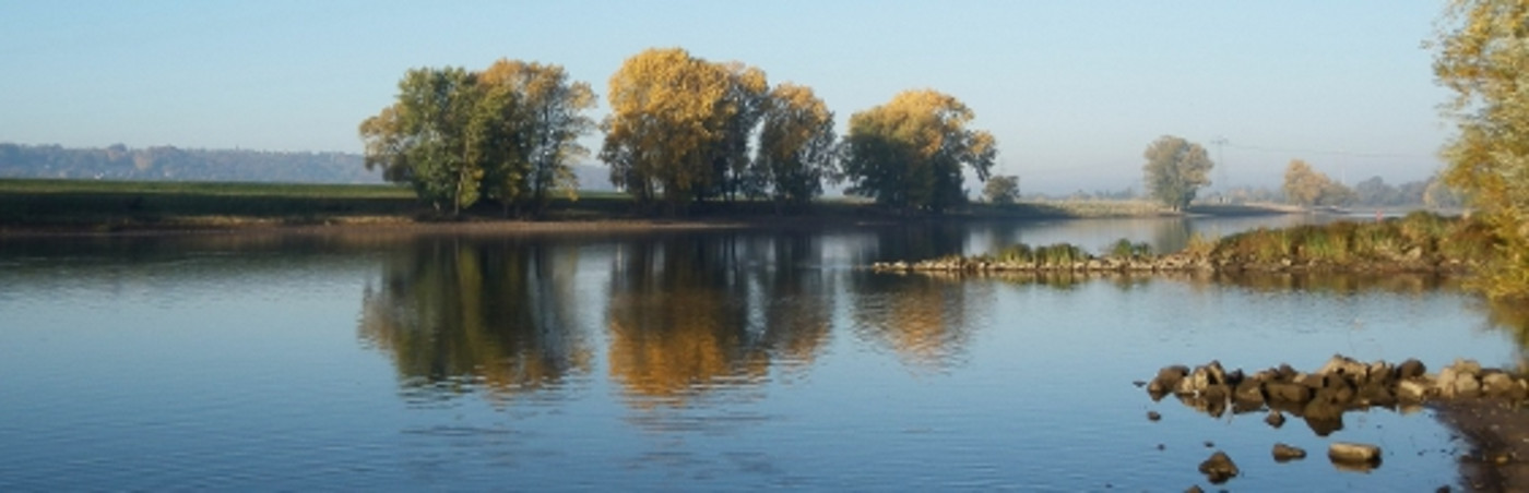 Der Tieflandstrom der unteren Mittelelbe (Wittenberge – Geesthacht