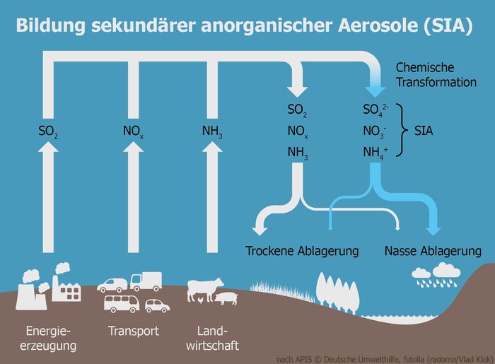 Düngung und die Diffusion von Ammoniak - Meyer - 2023 - Chemie in