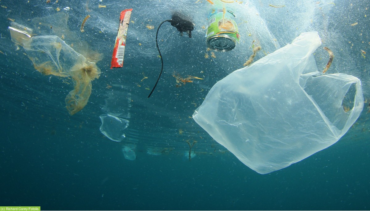 Plastik im Meer Deutsche Umwelthilfe e.V. Plastik im Meer Deutsche Umwelthilfe e.V.