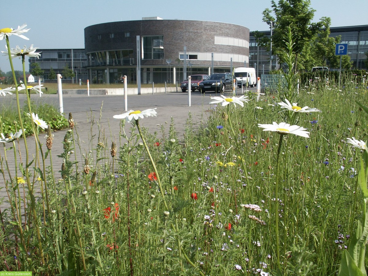 Stadtnatur Deutsche Umwelthilfe E V