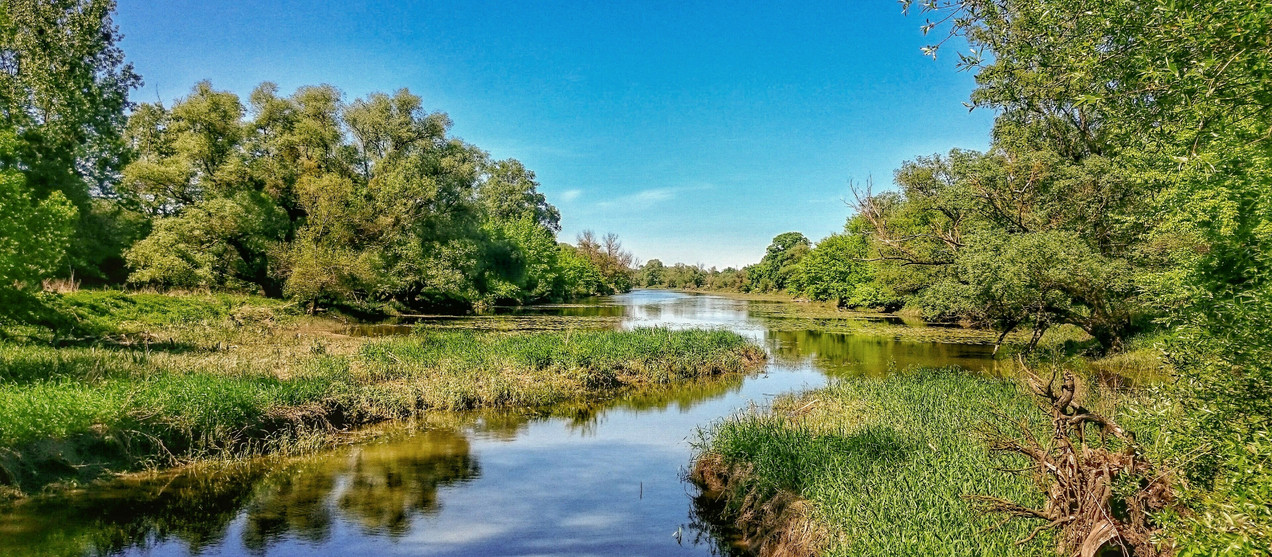 Wir müssen den Naturschutz und unsere Tier- und Pflanzenwelt bewahren!