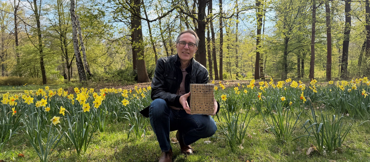 Jetzt den Wildbienen helfen und eine Nisthilfe gewinnen!