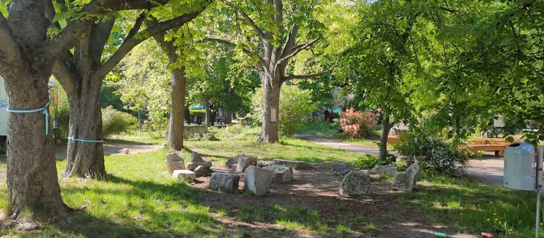 Fällung 100-jähriger Bäume droht unmittelbar