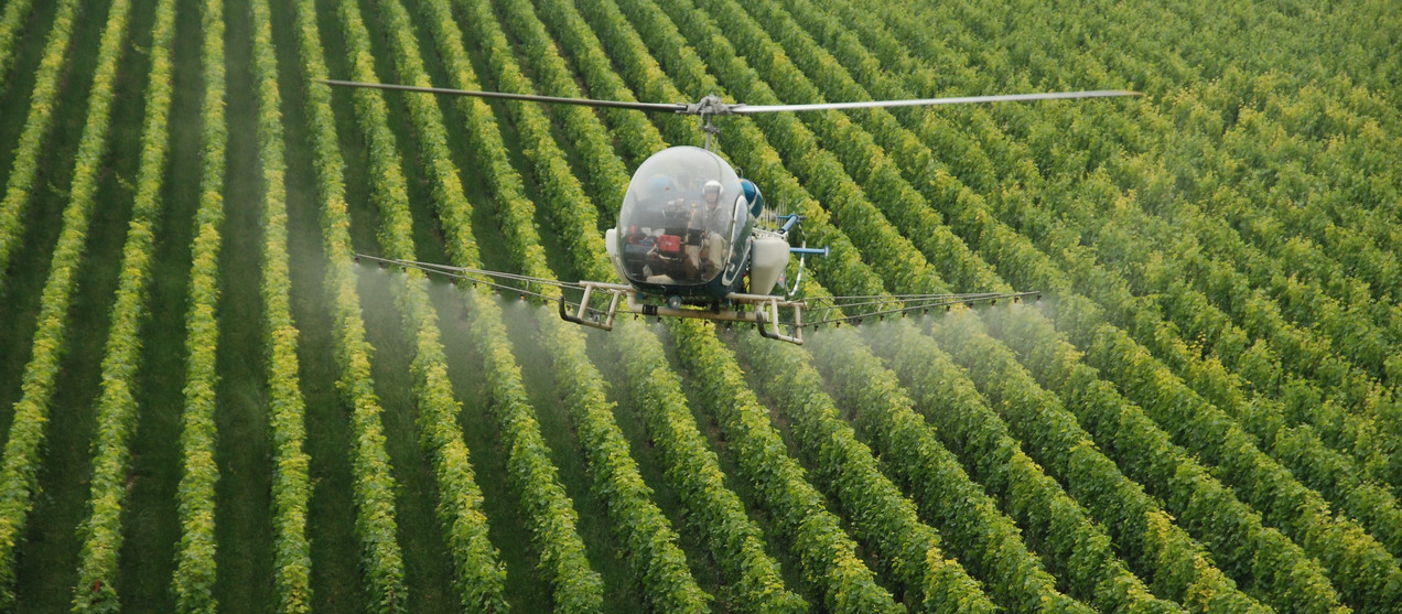 Giftige Glyphosat-Pestizide stoppen!