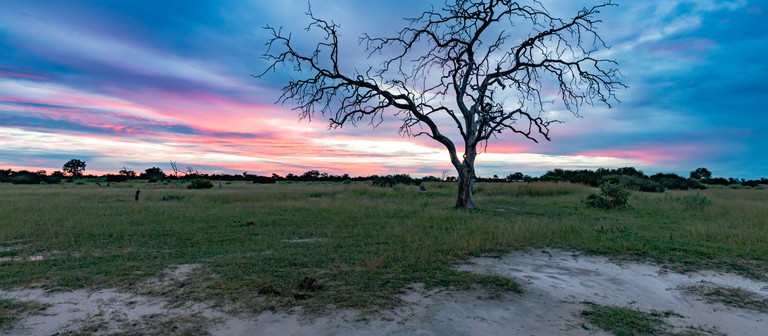 Das Okavango-Delta braucht unseren Schutz!