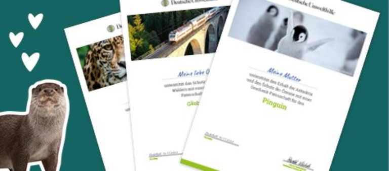 Spenden statt Geschenke